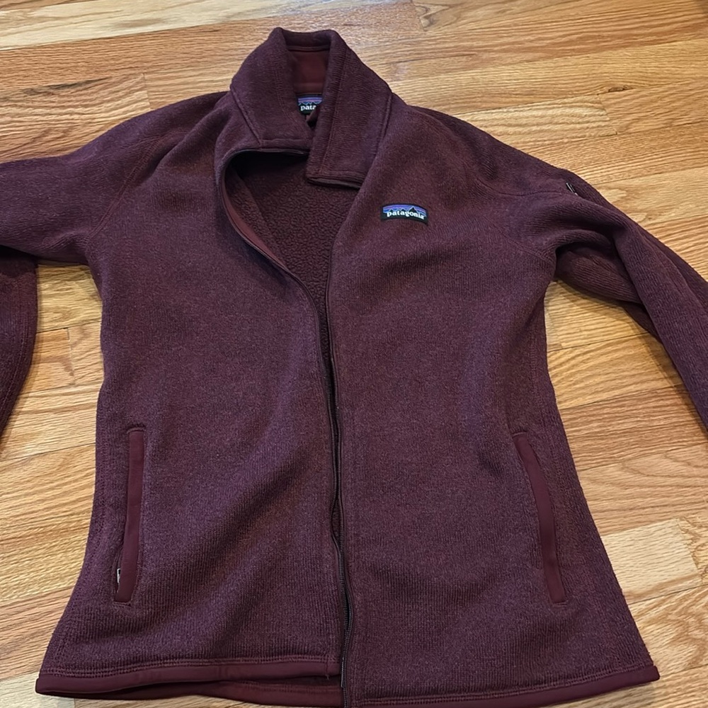 Patagonia fall jacket